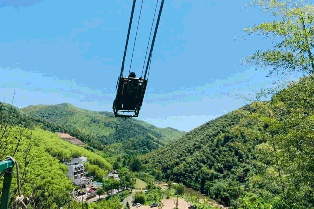 清明踏青好时节,莫干山里来露营