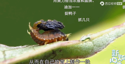 我把你当朋友 你却想吃我的屎 腾讯新闻