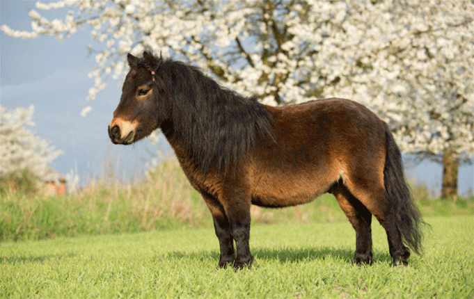 腾讯内容开放平台