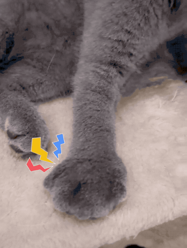 639_849竖版 竖屏gif 动态图 动图