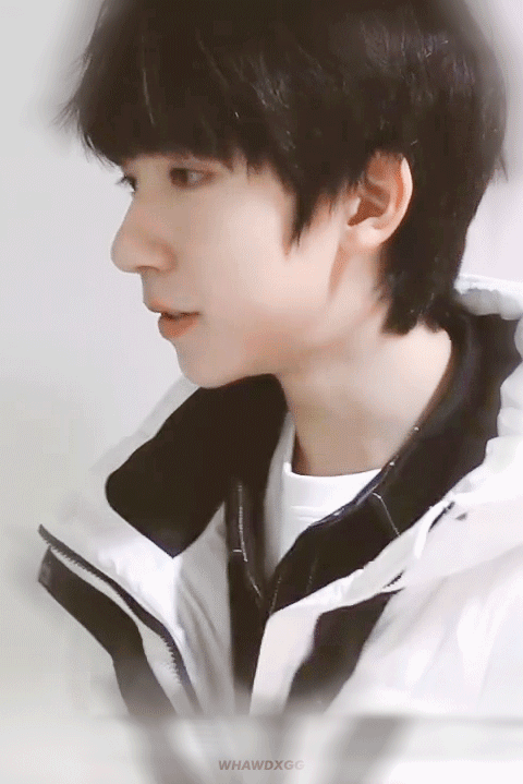 动图系列贺峻霖清美冷艳的小贺老师