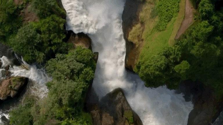 768_431gif 动态图 动图