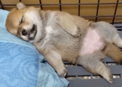 416_299gif 动态图 动图