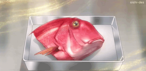 480_234gif 动态图 动图