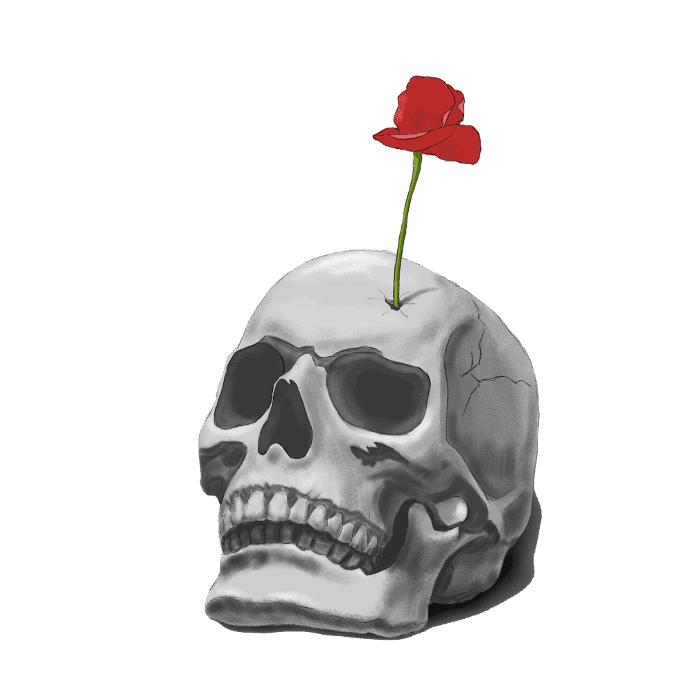 罂粟俗称"大烟果子",可以用于提炼加工鸦片,海洛因等毒品,与大麻,古柯