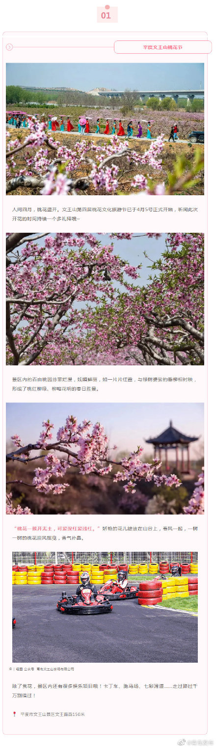 青岛的桃花源藏在这些地方 腾讯新闻
