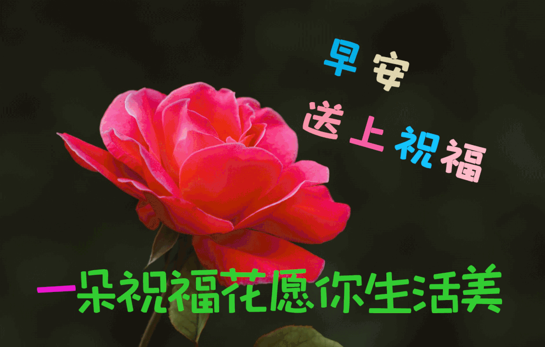 早上好问候语温馨短句1月15日清晨早安心语正能量朋友圈语录早上好正