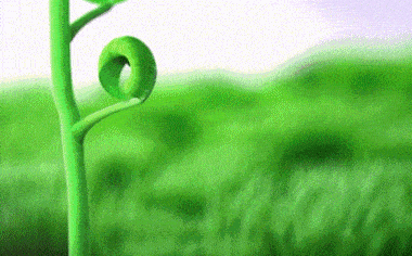 380_236gif 动态图 动图