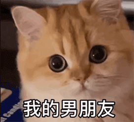 20正式的恋爱要收到一束花和表白开始才算第一次恋爱我没经历过所以.