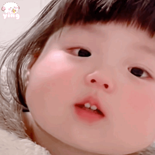 540_540gif 动态图 动图