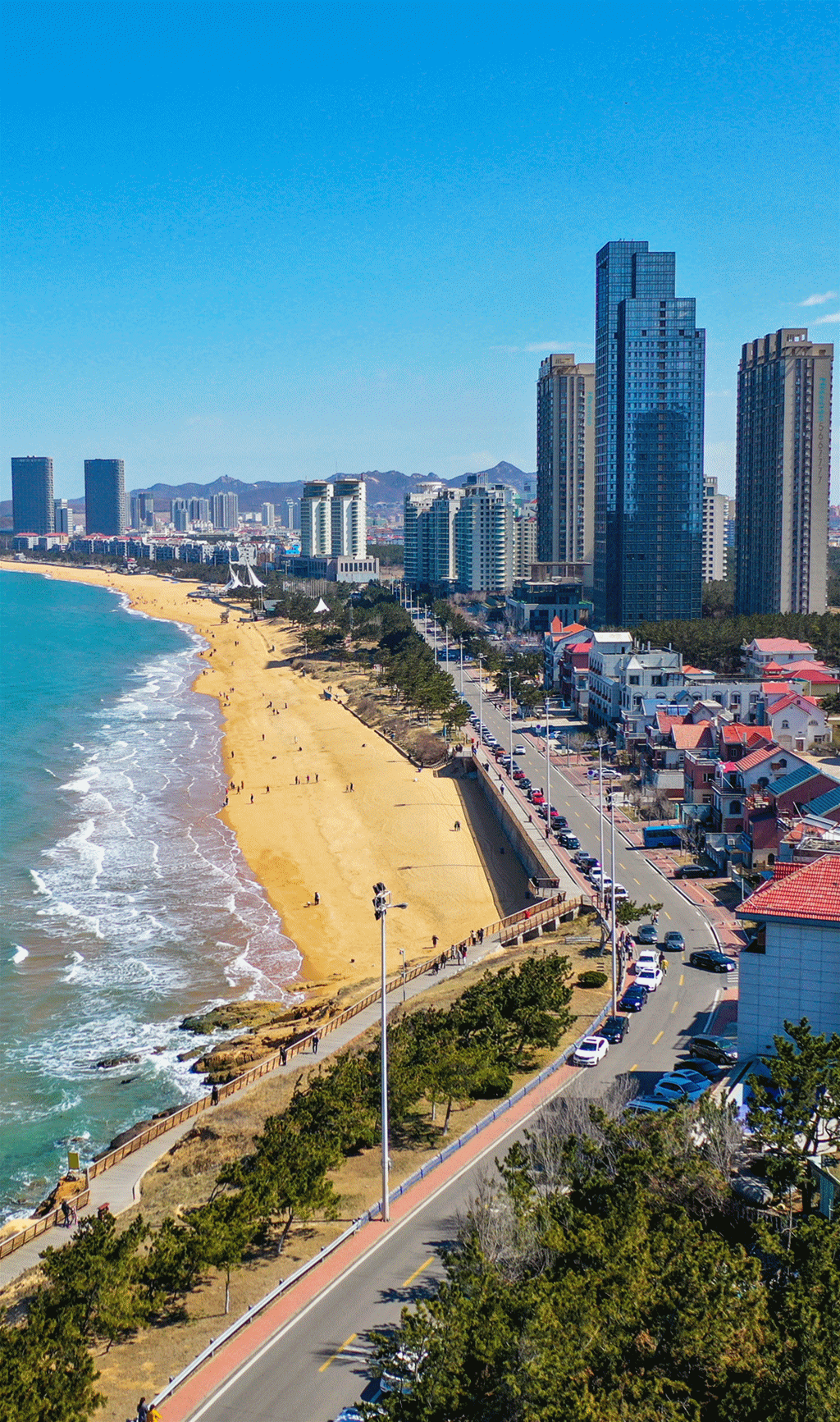 跨山海,赏花开,这样的威海你一定要来看看