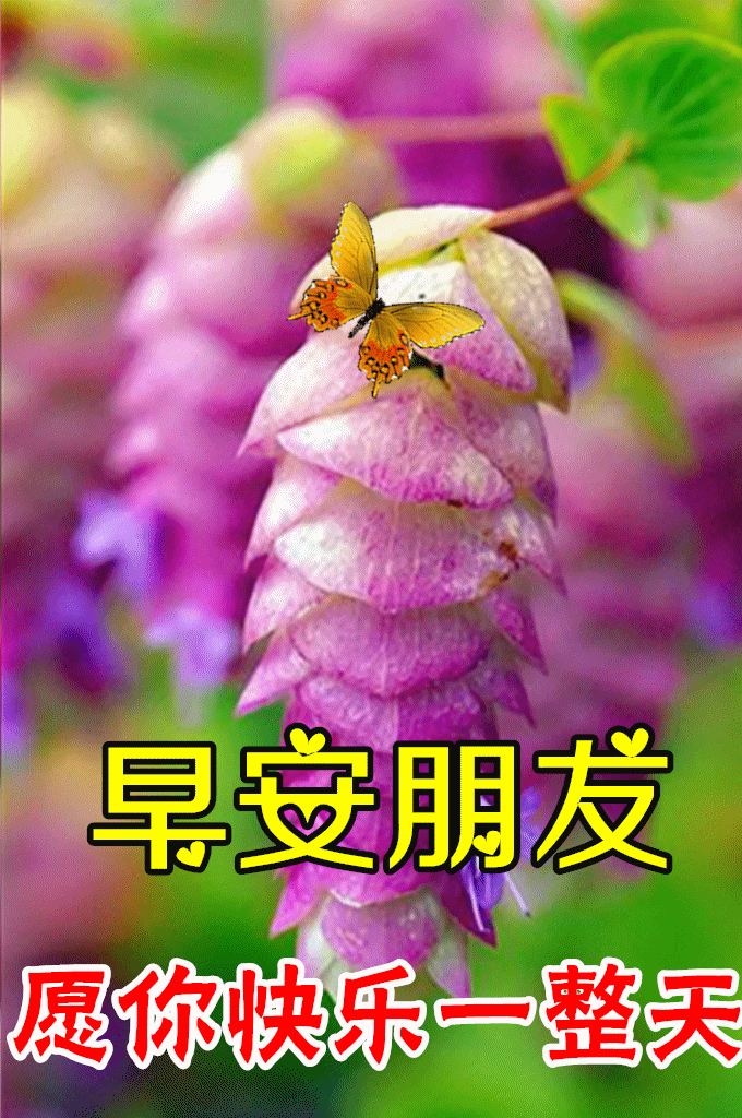 2022年3月10日特漂亮最新版早安动态图片 阳春三月早上好祝福语句子!