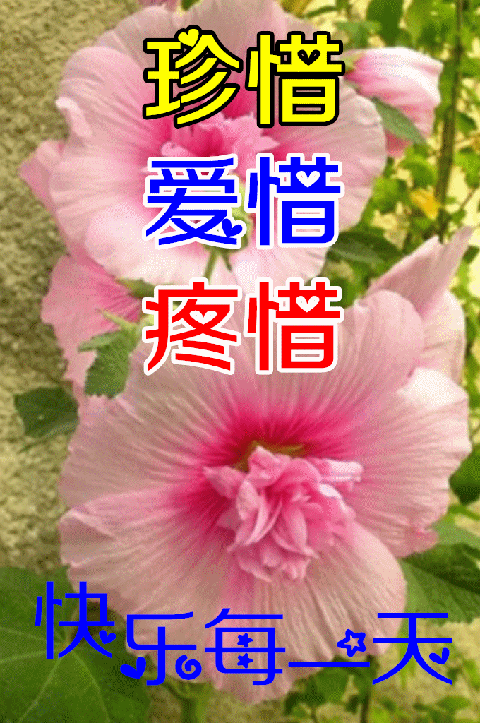 2022年3月10日特漂亮最新版早安动态图片 阳春三月早上好祝福语句子!