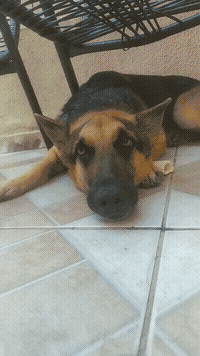 所以爱会消失的对不对81岁富婆沉迷整容,花重金整成28岁我不要70年代