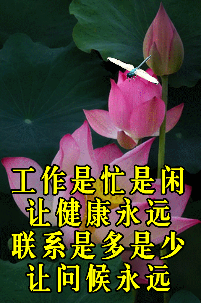 适合发朋友圈的早上好唯美带字祝福图,问候朋友早安快乐的早安动态