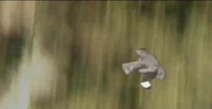 模仿孙悟空拍jk制服是当代小红书女孩的自信密码