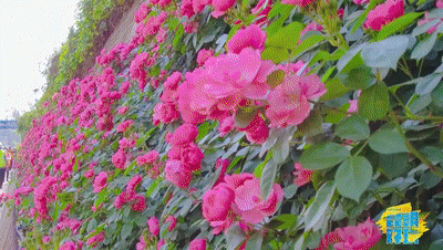 400_226gif 动态图 动图