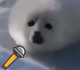 dame dame~反正就是各种好方案都不接受,最后日本选择了一个不咋好