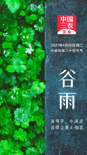 今日4时33分迎来二十四节气之谷雨二十四节气·谷雨物4.