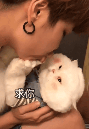 不亲不亲就不亲!nonononononononono.