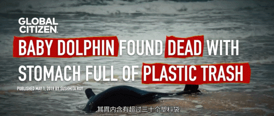 尚可将其卖到海洋馆挣钱,可成年海豚并没有消费市场,因为海豚肉含重汞