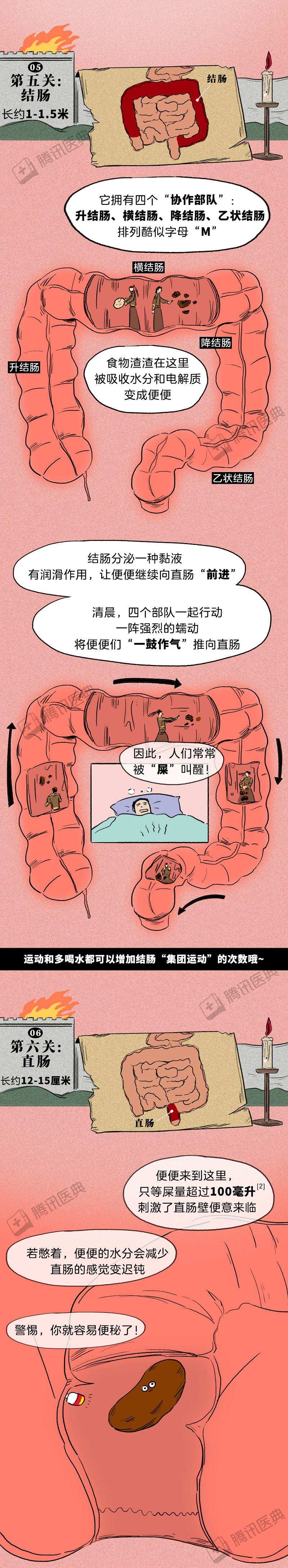 食物如何通过肠道7关变成便便的这1关癌症最常见