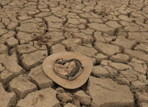 世界地球日携手应对挑战守护地球家园