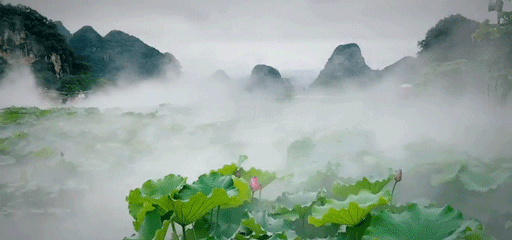 512_240gif 动态图 动图