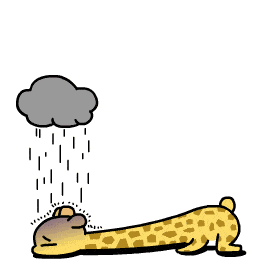 本周一连串的雨水排队上线