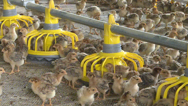 640_360gif 动态图 动图