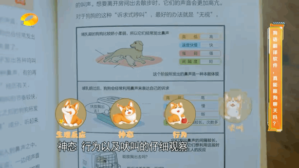 狗狗说“人话”？狗语翻译器走红，您可别太当真！_腾讯新闻