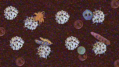 鞋臭好尴尬!用它喷一喷,除臭,杀菌二合一,明星也在用!_腾讯新闻