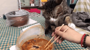 360_203gif 动态图 动图