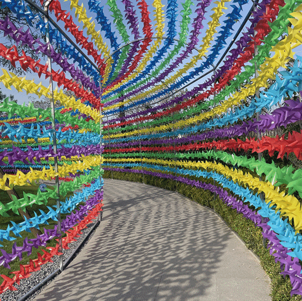 又新增一处游玩景点!辛集空降风车长廊,数千只风车惊艳亮相