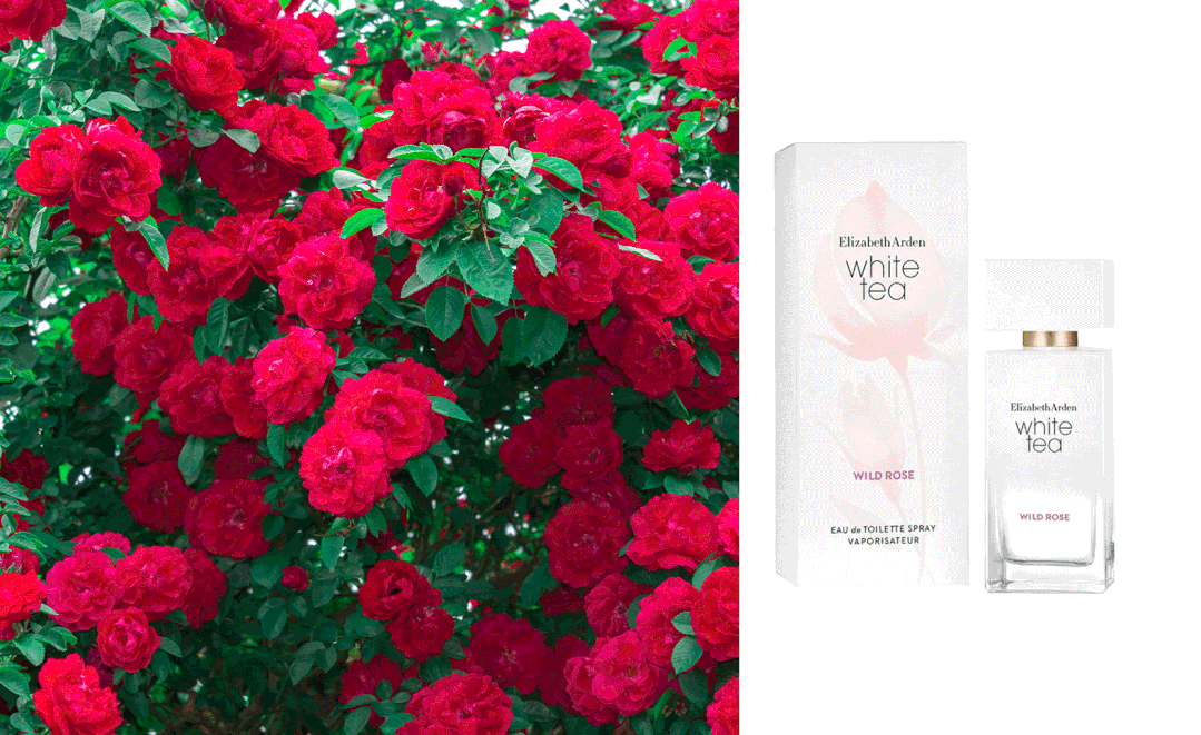 30到300块有什么好穿又好看的夏日香水?这6瓶给你答案!