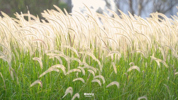 720_405gif 动态图 动图