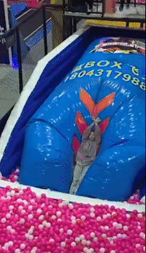 208_360gif 动态图 动图