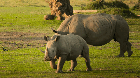 480_270gif 动态图 动图