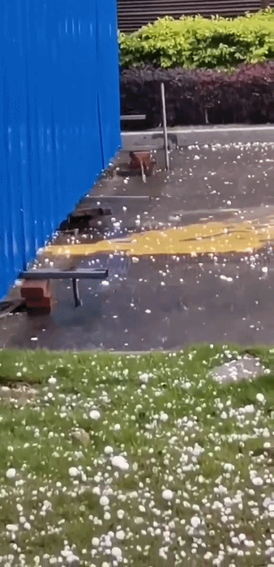 白花花的冰雹像汤圆一样暴雨倾盆,还下起了冰雹!