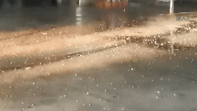 400_226gif 动态图 动图