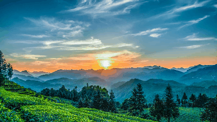 440_248gif 动态图 动图