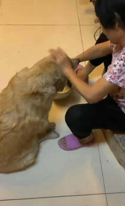 412_677竖版 竖屏gif 动态图 动图