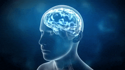 426_240gif 动态图 动图