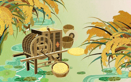 正是农家小满天枇杷黄后杨梅紫今日3点37分交小满节气二十四节气满man