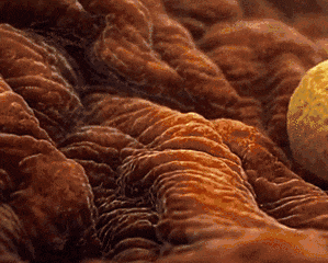 胚胎着床了有什么感觉?