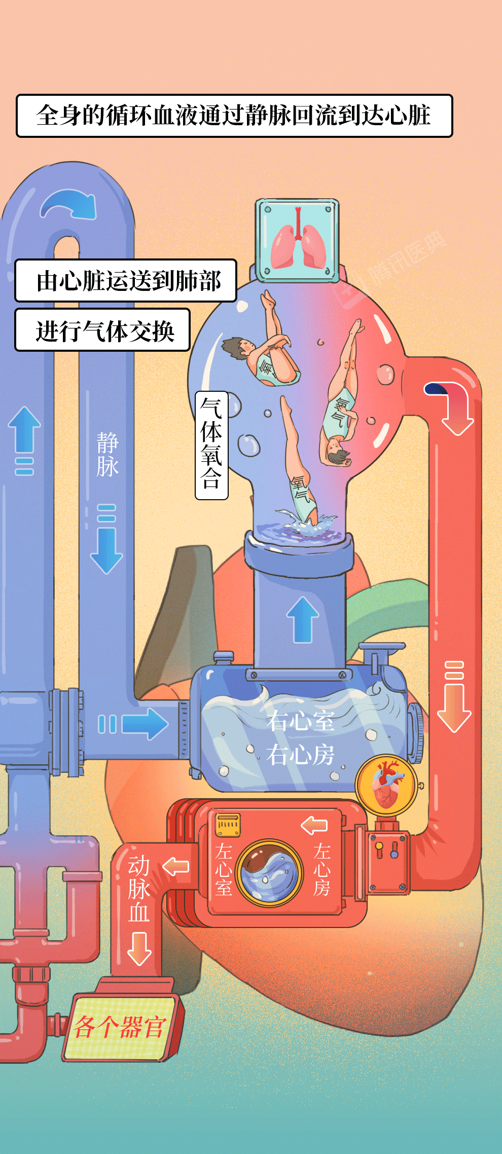 27岁体检查出"窦性心律不齐",是猝死的信号吗?