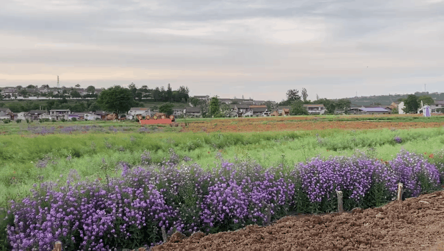 640_362gif 动态图 动图