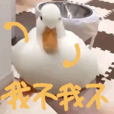 真的巨可爱巨有趣给动物画手系列表情包猫咪和鸭鸭动态表情包