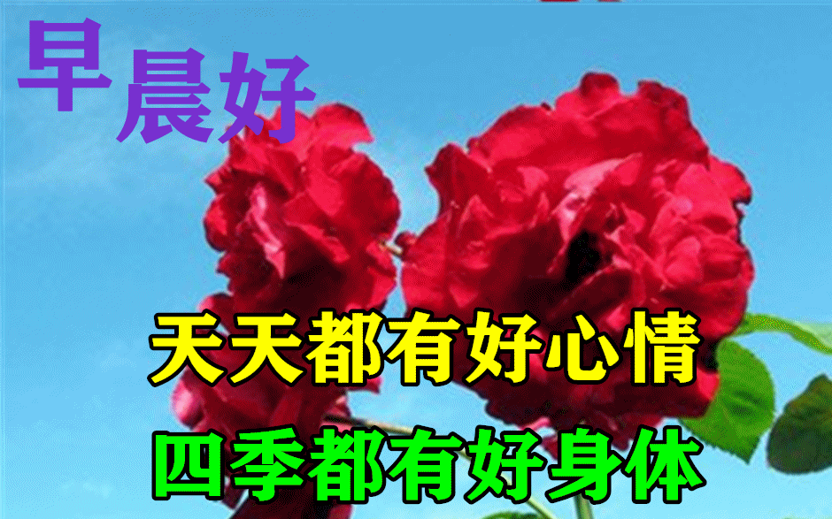 940_587gif 动态图 动图