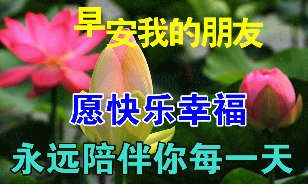 2022年5月28日特漂亮最新版早安动态图片 早上好祝福语句子